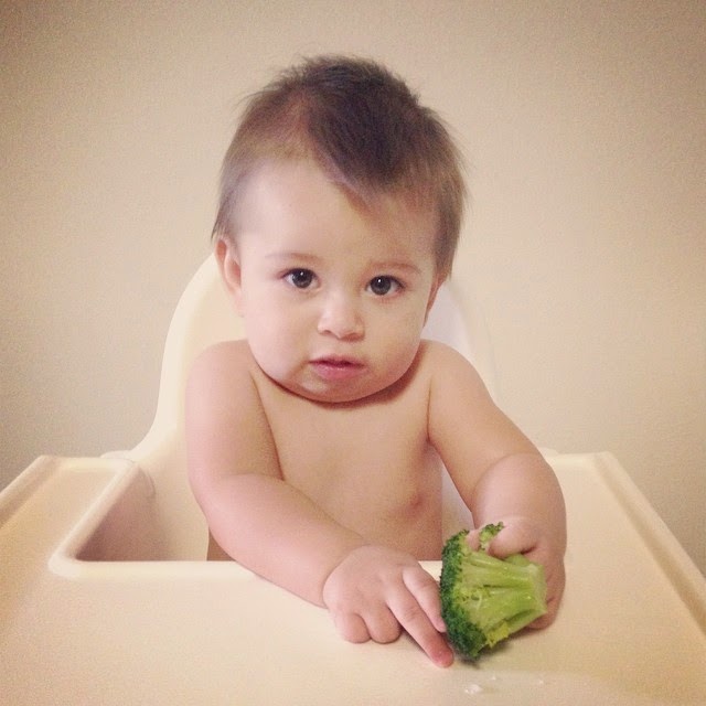 Baby Led weaning