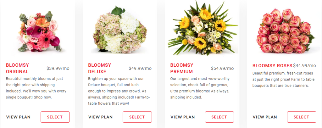 Bloomsy Box Flower Subscription Review