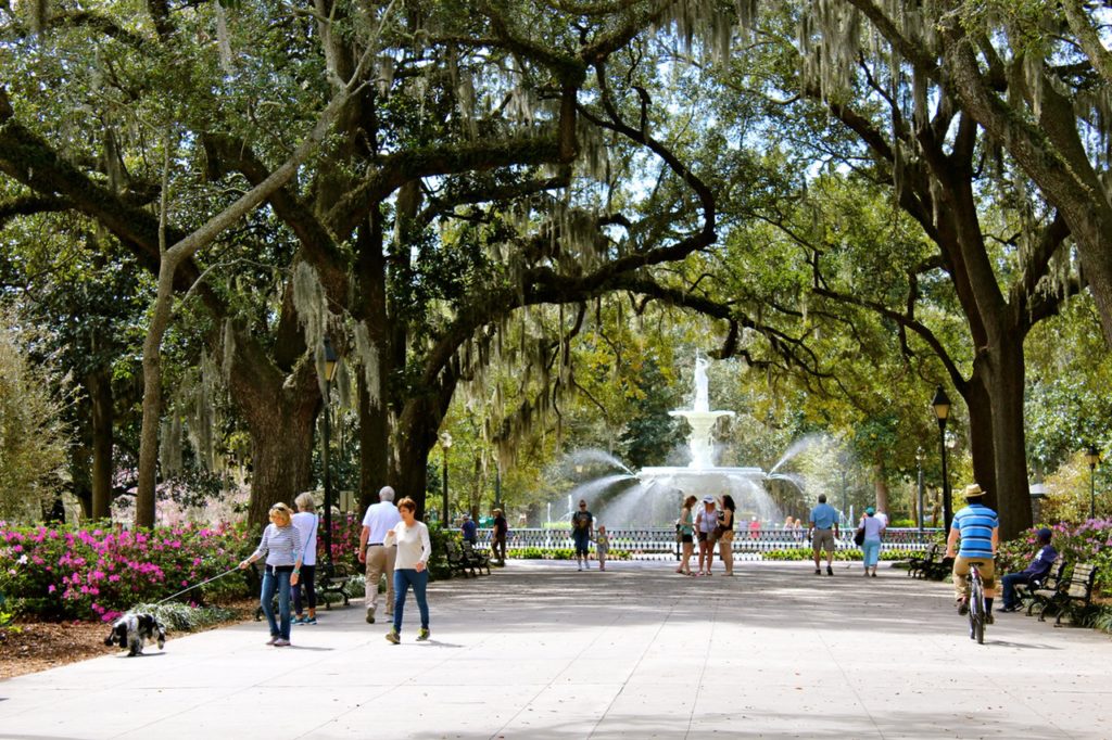 24 hours in Savannah