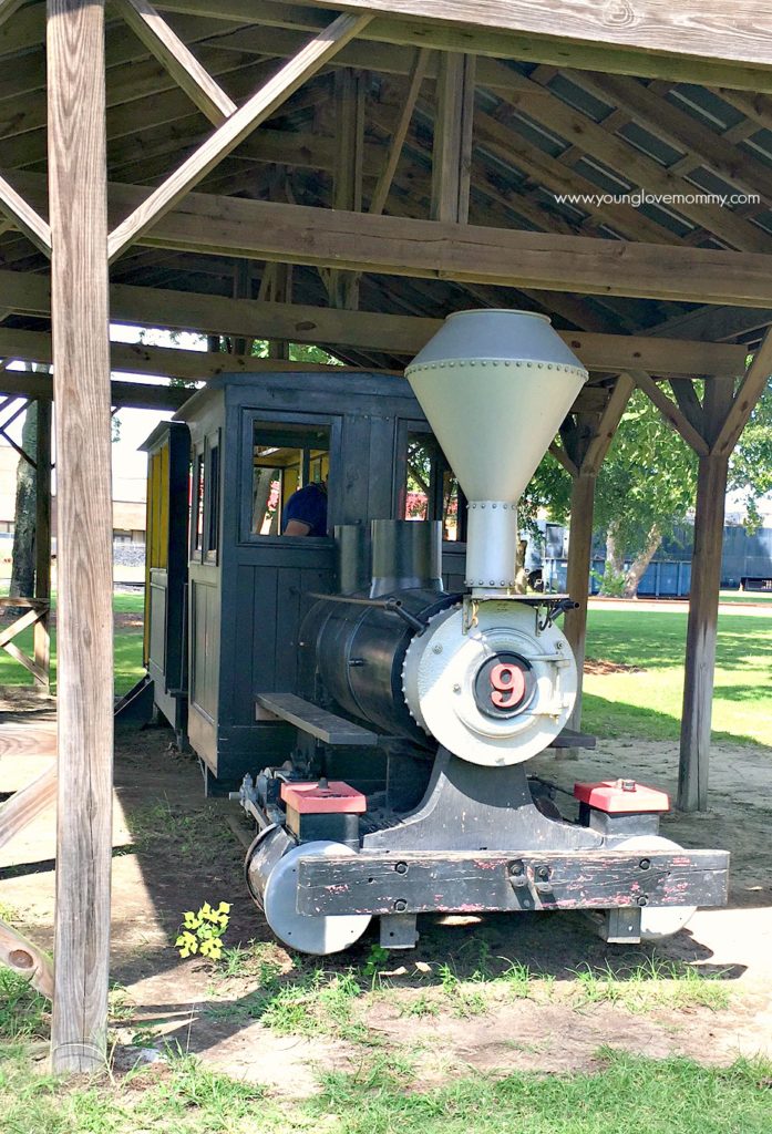 savannah-railroad-museum