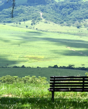 new-years-resolution