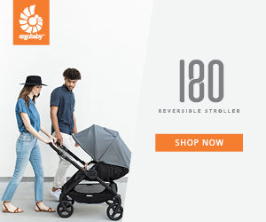 Ergo Baby Reversible Stroller