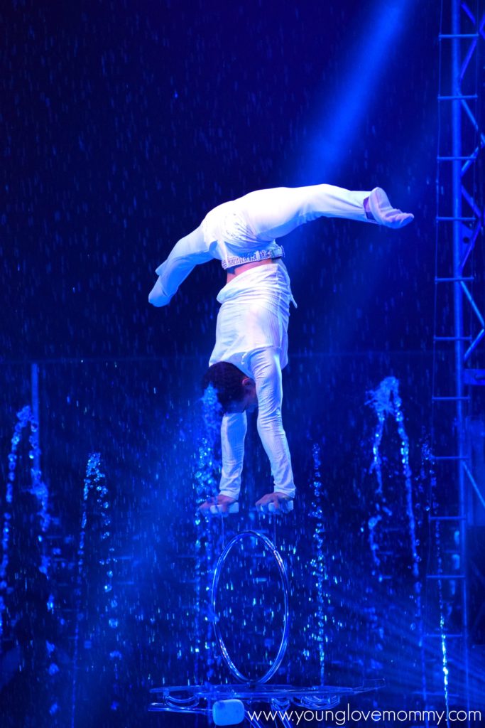 Events in Jacksonville, Cirque Italia Show in Jacksonville