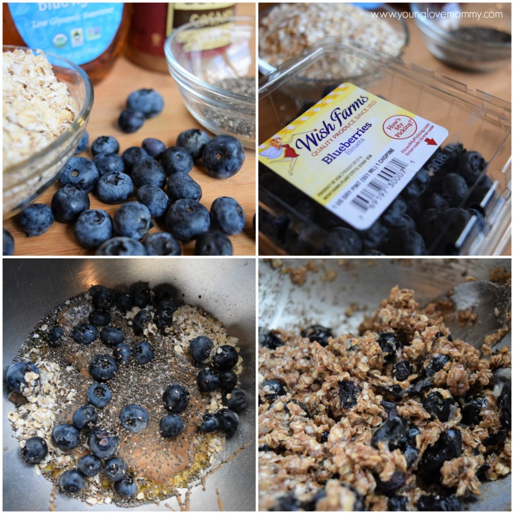 No Bake Blueberry Protein Balls Recipe