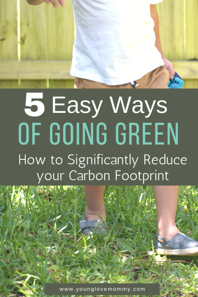 5 Ways of Reducing our Carbon Foot Print, 5 ways of going green, everyday strategies to help our planet.
