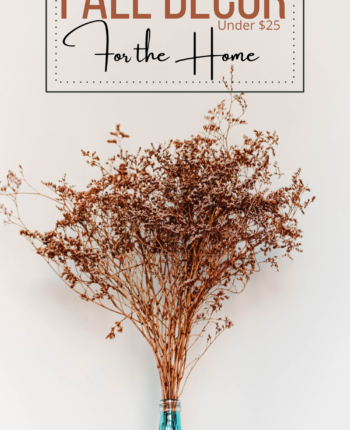 Fall Home Decor Finds $25 and Under!