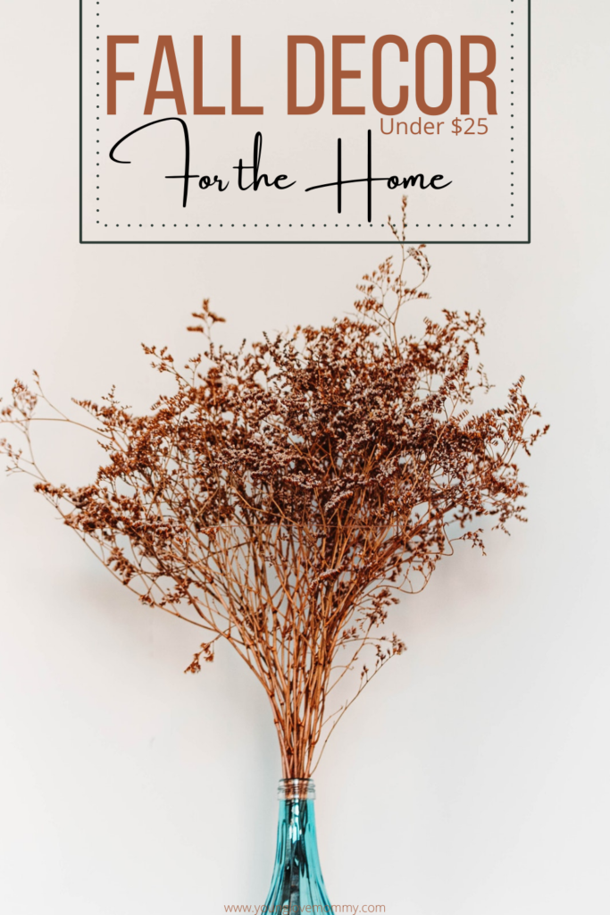 Fall Home Decor Finds $25 and Under!
